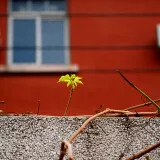 DSC 0382