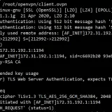 启动openvpn client