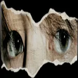 Untitled image