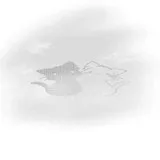 Untitled image