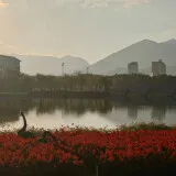 保生桥 (4)