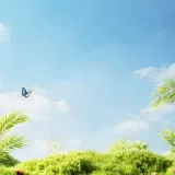 zbbj