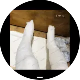 Screenshot 20260307 210851 sbrowser