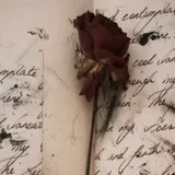 Untitled image