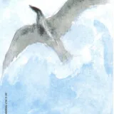 29