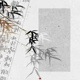 Untitled image