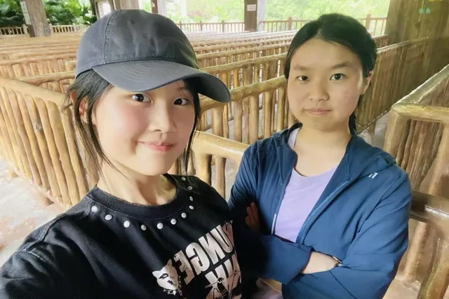yiyimei