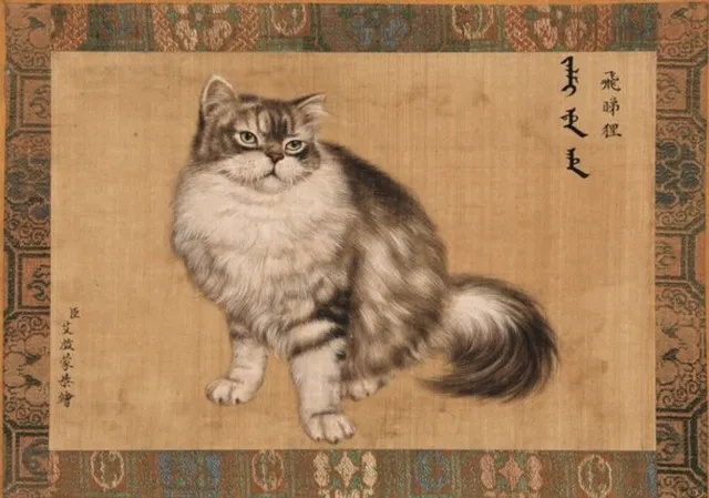 Cat5-93ed71eeec1c4420cf4714515bd8ca53