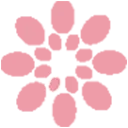 yinghua-c4db4d3b88fda102ab48b378c946c739