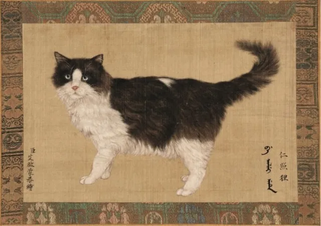 Cat2-9798d14844c91fb833c65471007102be