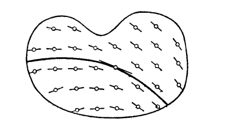 vector-field-84fbae1d67fcd8e552342a11c040248d