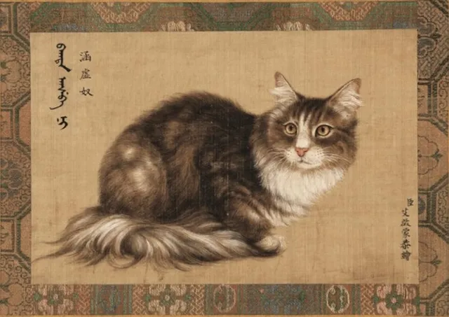 Cat3-4100ce0b6194ded4f89aa53d19459ab3