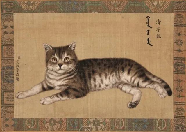 Cat4-a824b0d18de6587df0cca1b8265f98ba