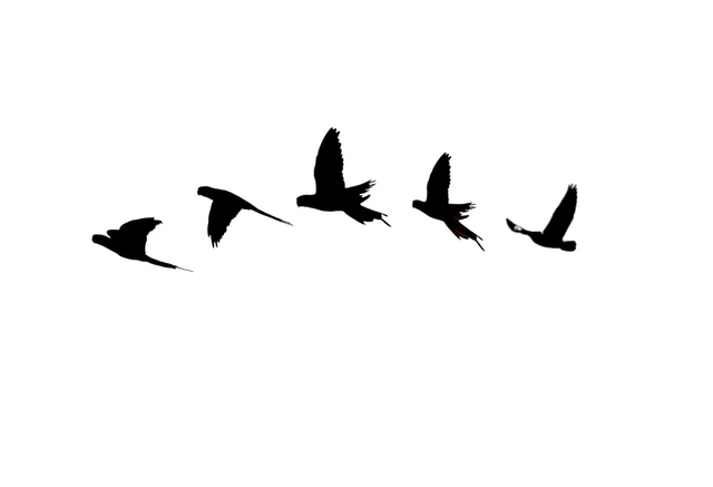 95_20260919080444