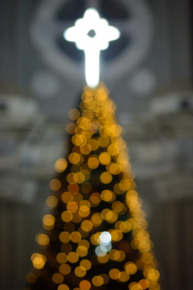 _DSC6029-51a9ae0356f4f502b4ef9c8a1af42290
