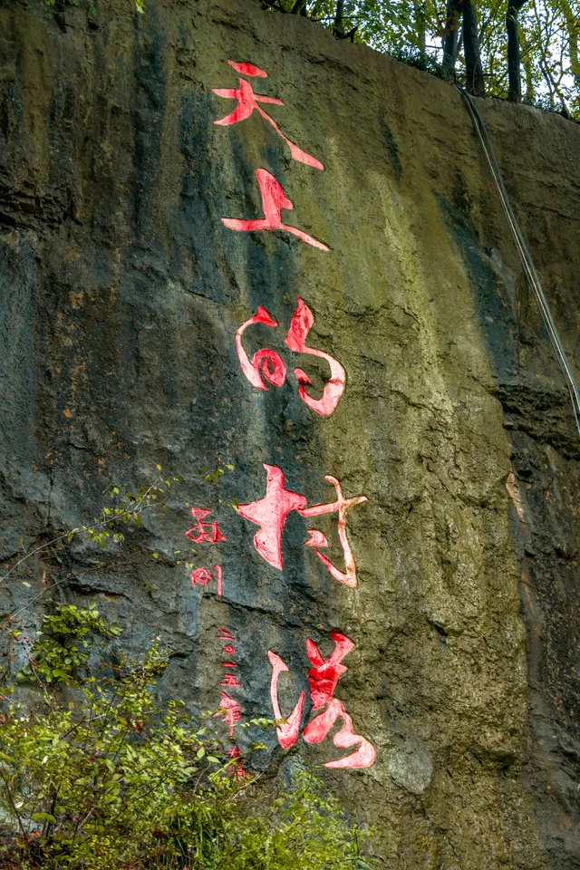 _DSC73622510070139-4943fb9c0b777a81777b18bddeef696d