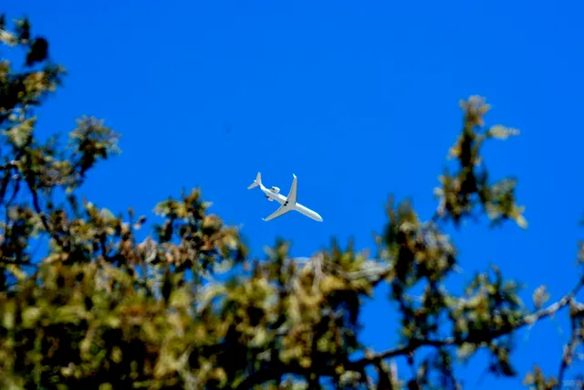 _DSC6673-c00f5f87cc37e0c6186a19fcdf6fa92b