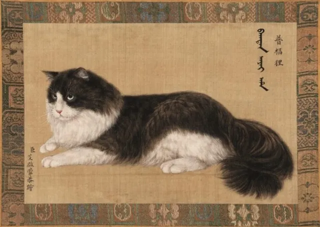 Cat1-3bc3001b70cef8e57fc9a3dff9405ac8