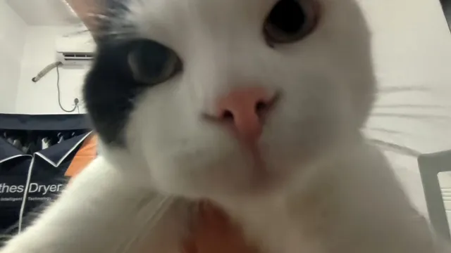 1000021726