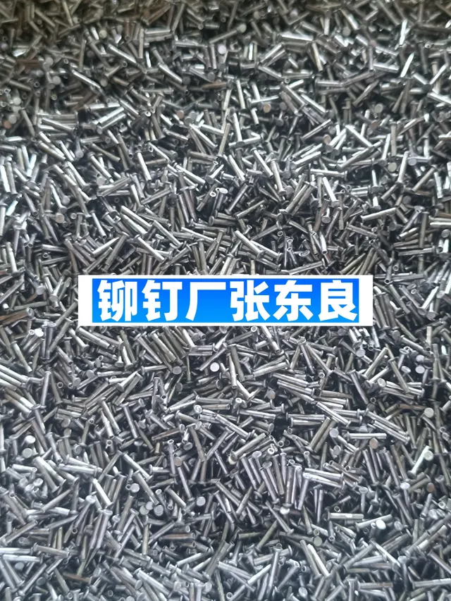 1000098871-df7ff3d0dbe29d52124a7613baaf6e17