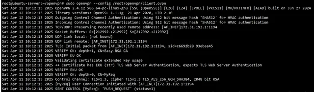 openvpn-client-5ce907e3c43bed4ec6e97d747d50064c