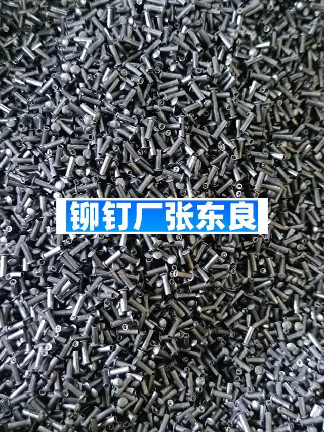 1000098998-f5e202187f70ae413a3027038f198b6f