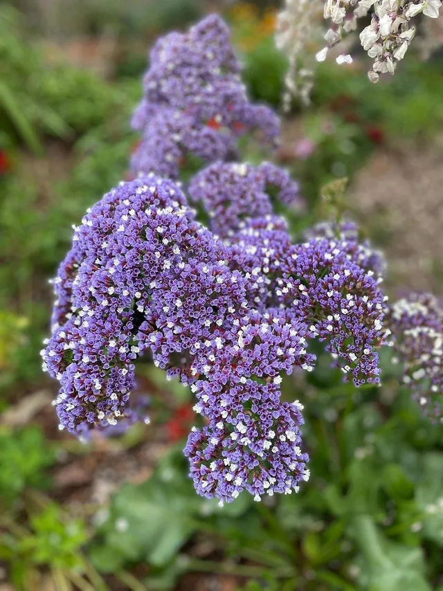 e8843fe508c57f304943ca64e3ba23df