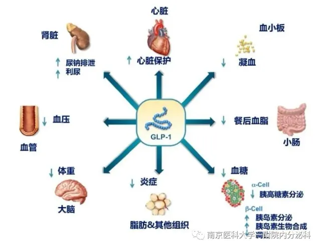 3-2-a533763cd1237c594834be7c031e8f83