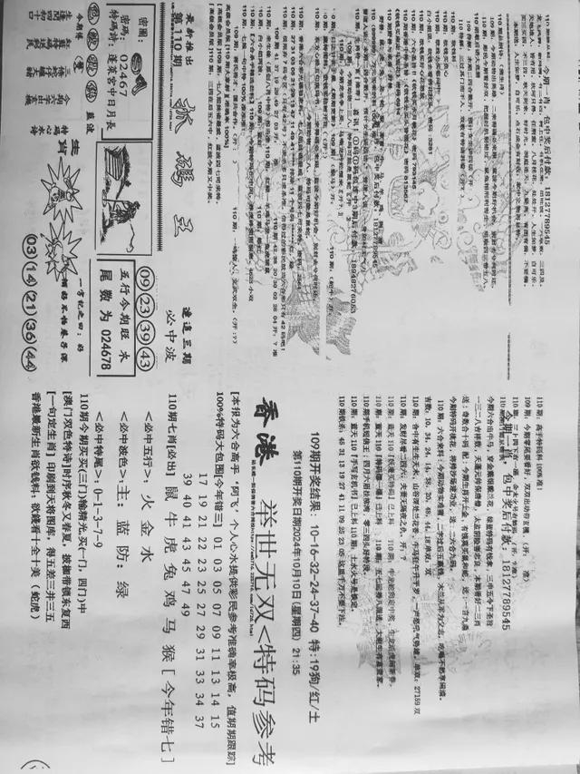 IMG_20241009_140303-b98d48e6ec74432d53f5f1d55f6045da