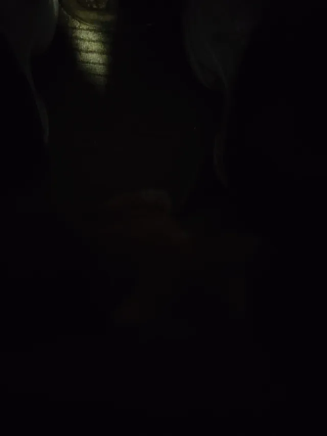 1000013162