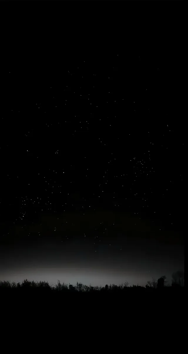 1000010596