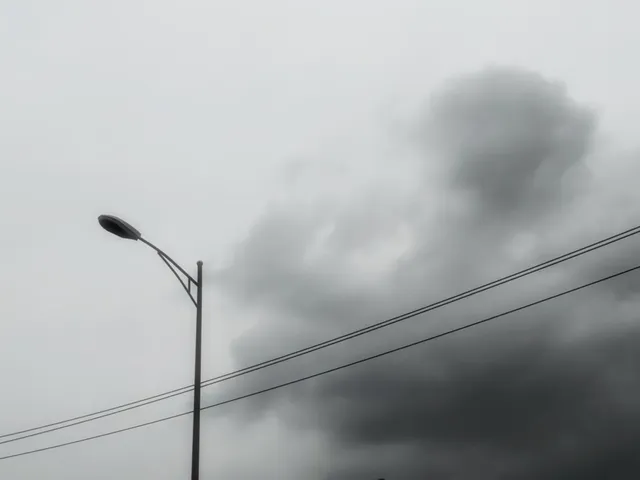 1000010624