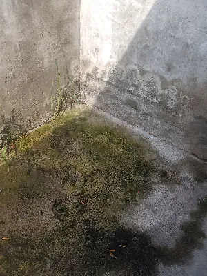 1788777673963