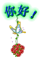 13-a5e6813c9940366d0597c8c3de6a25f6
